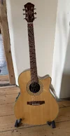 Ibanez AE20D NT