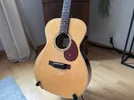 Breedlove Retro OM / ER / Akustik Gitarre '08 + PU + SKB 000 Case