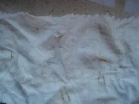 DSC00864.webp