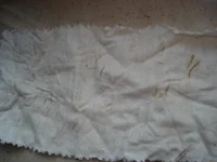 DSC00869.webp