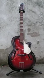 Framus Sorella 5:59-59 Serial 49469 60K.webp