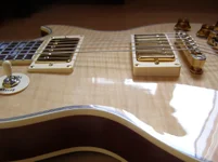 P3110500.webp