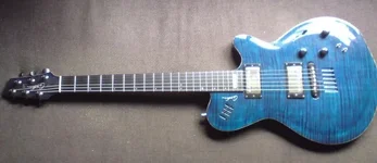 Godin1.webp