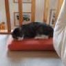 Frinchen