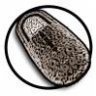 brotschuh