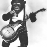 FretMonkey