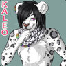 Kaleo Meow