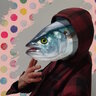 mrfish