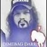 Dimebag.Darrell