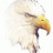 WhiteEagle