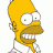 Homer