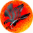 Hellbird