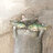 Pinfeed