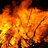 such_fire