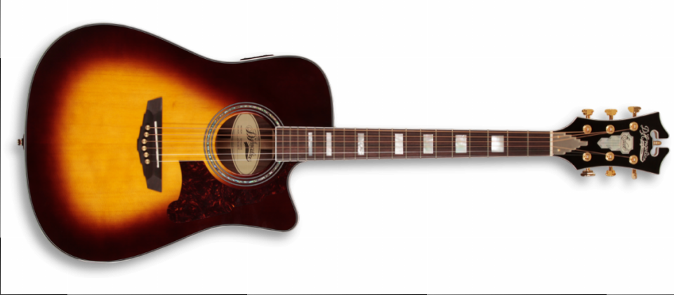 Bowery Western Gitarre