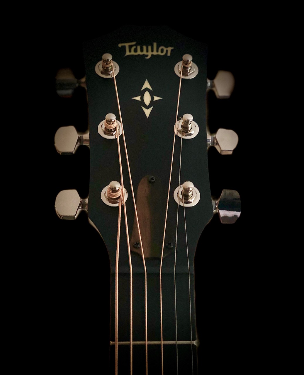 Taylor 517e - Builders Edition - Grand Pacific