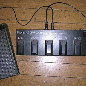 midipedal2.jpg
