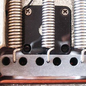 tremolo just. gross.jpg