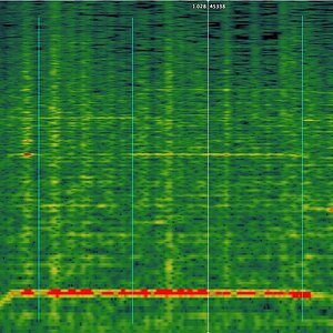 The Cage Spectrogram.jpg