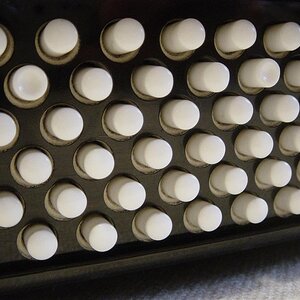 DSC01620 (Large).JPG