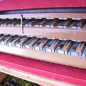DSCN3366.JPG