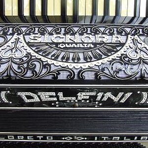 Delfini.jpg