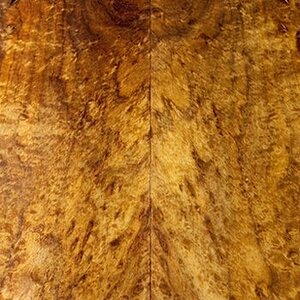 burled_blackwood_2708.jpg