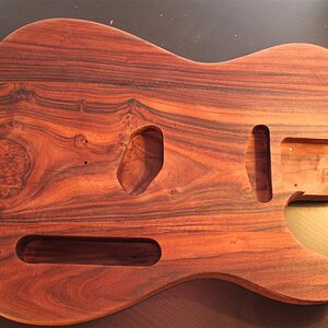 Palisander3.JPG
