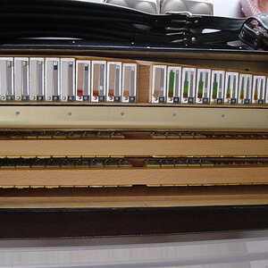 DSC01594 (Large).JPG