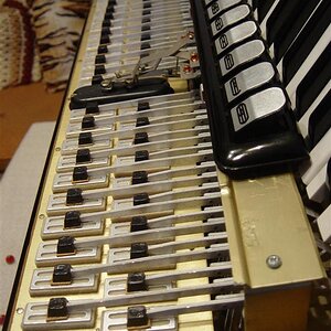 DSC01631 (Large).JPG