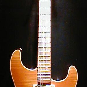 RJJC Schecter '83.jpg