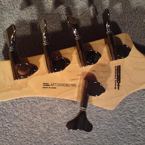Headstock_back.jpg