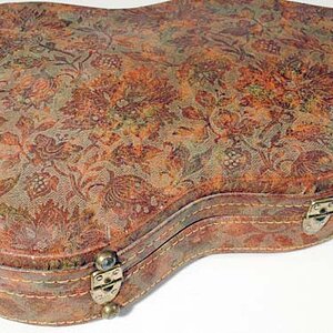 guitar_case4.jpg