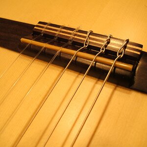 Stegeinlage Horn.jpg