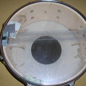 Snare_3.jpg