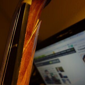 P1020083 [1600x1200].JPG