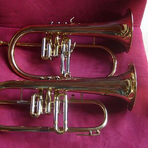 FlÃ¼gelhorn Vergleich.jpg