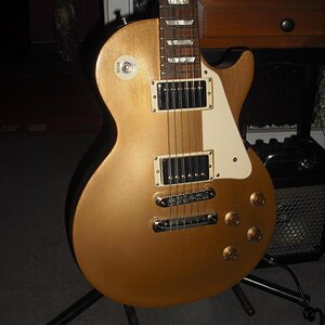 Goldtop 013.jpg