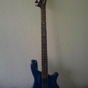 Bass (1).jpg