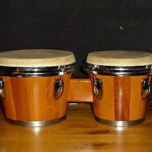 bongo1.jpg