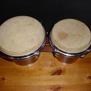 bongo2.jpg
