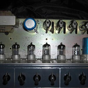 CIMG3809.JPG