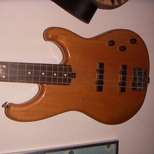 roadstar fret 002.jpg