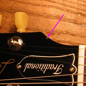 gibson trad fleck.jpg