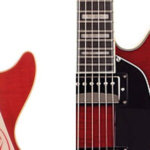 Les Swede Cutaway.jpg