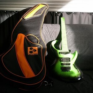 Basslab greenblack - gigbag.jpg
