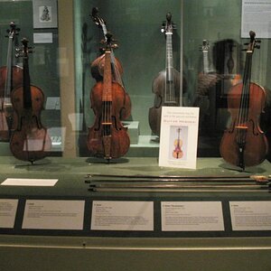 violinen.jpg