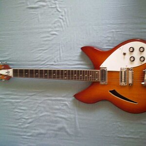 Rogue Rickenbacker.jpg