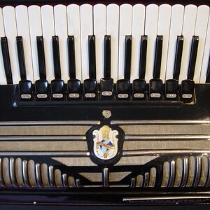 DSC04360 (Custom).JPG