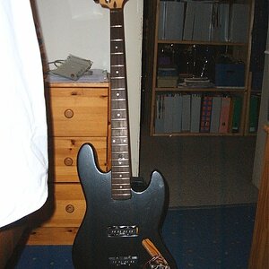 gesamtohnepickguard.JPG